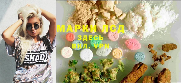 твердый Абаза
