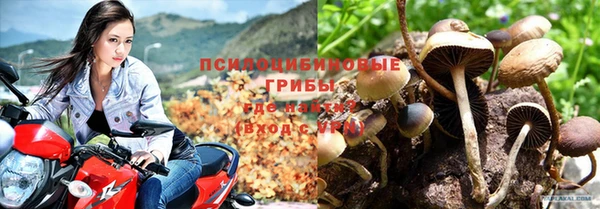 синтетический гашиш Алексеевка
