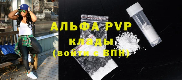 твердый Абаза