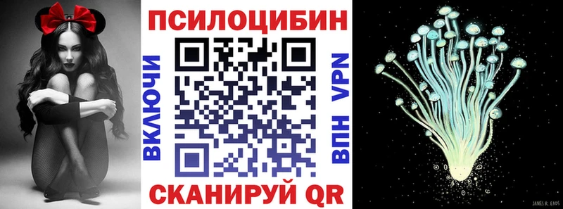 дарнет шоп  Ахтырский  Галлюциногенные грибы прущие грибы 